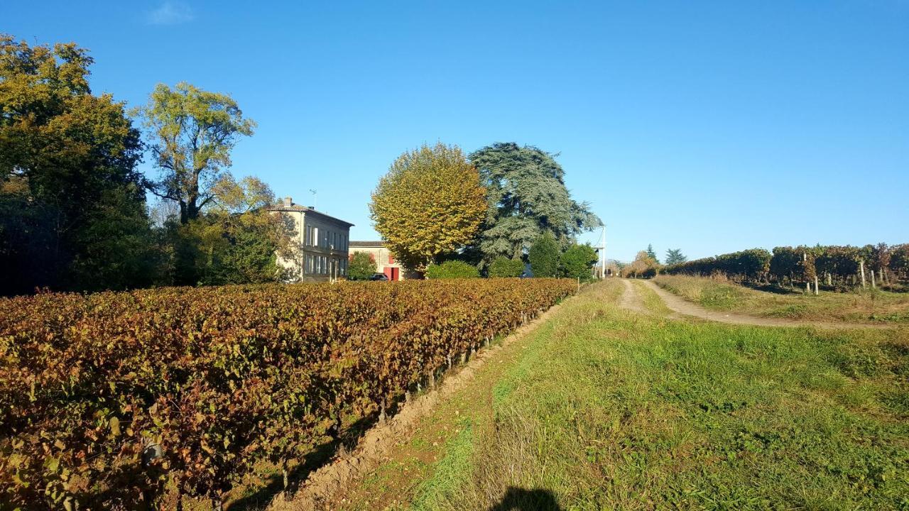 Chateau Cantelaube Saint-Émilion Екстериор снимка
